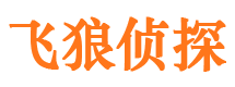 浉河市侦探调查公司